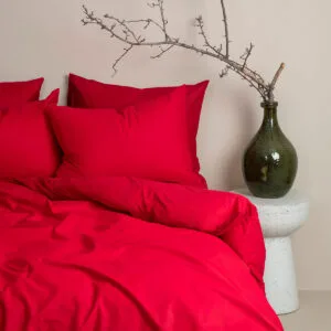 Cotton Feelings 113 Red Single Sheet Set (165x270)